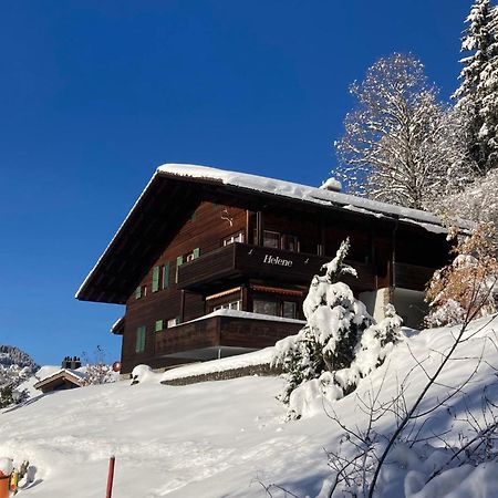 Apartment Helene Apt Diana By Interhome Wengen Luaran gambar